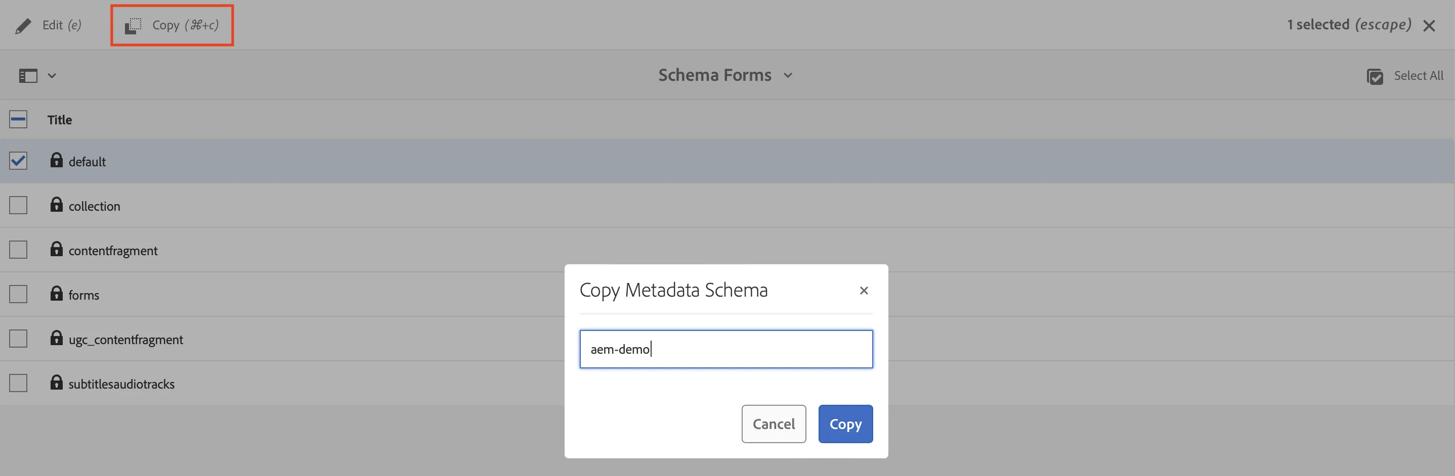Custom Metadata Schema