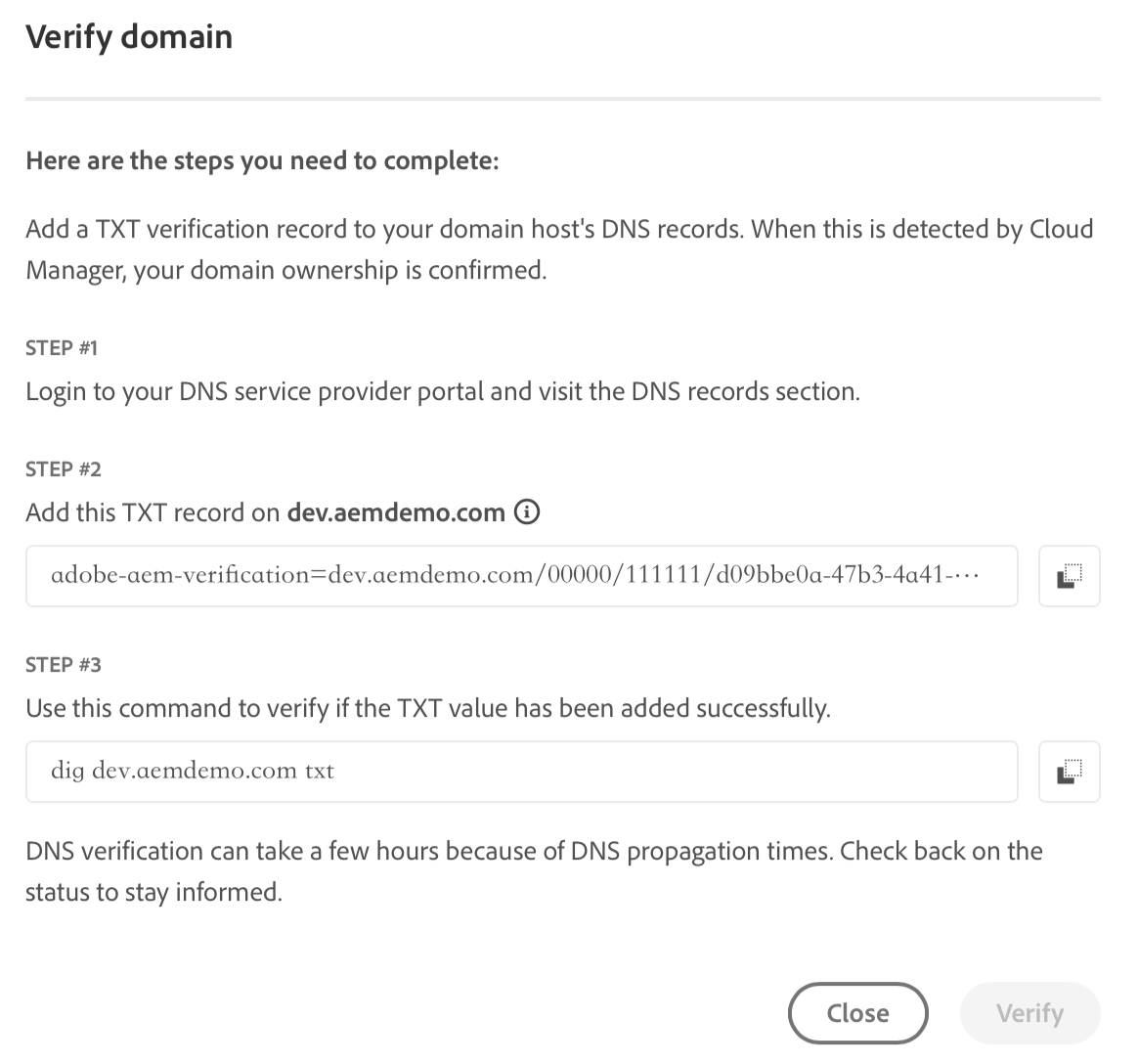 Domain Name Verification for Customer Managed Certificate